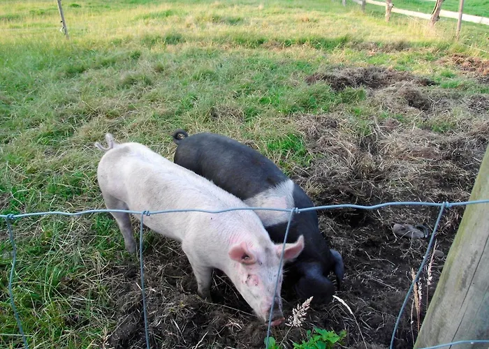 Ralf Becker Nr3 Dänschendorf